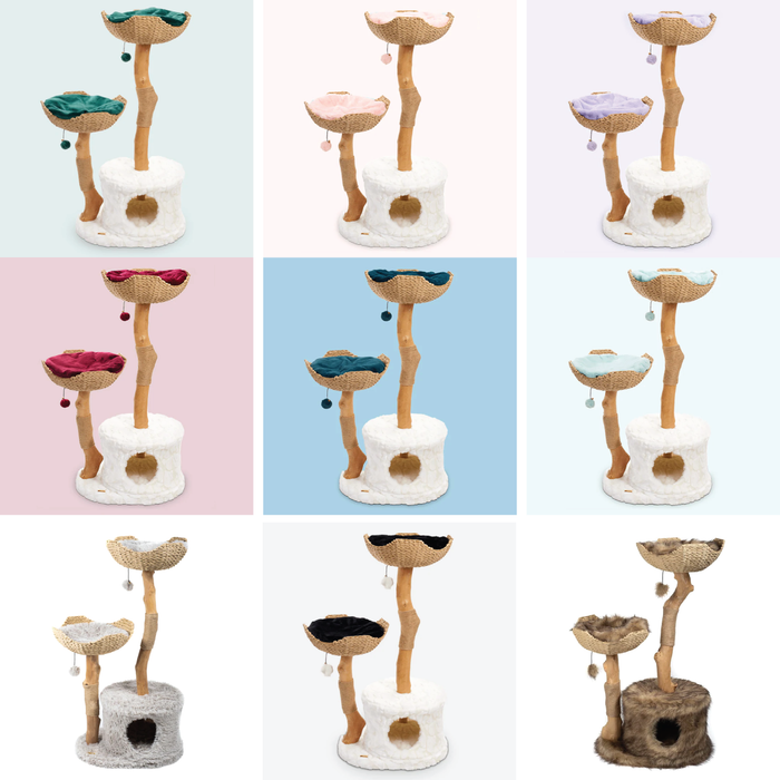 Cushion (Choose Color)