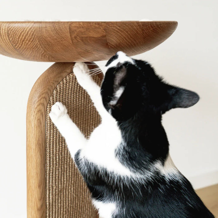 2x Scratching Pads (For Gravity)