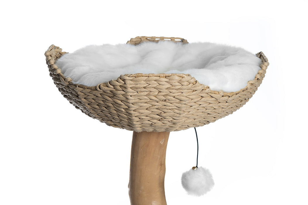 Natural Basket (Customize)