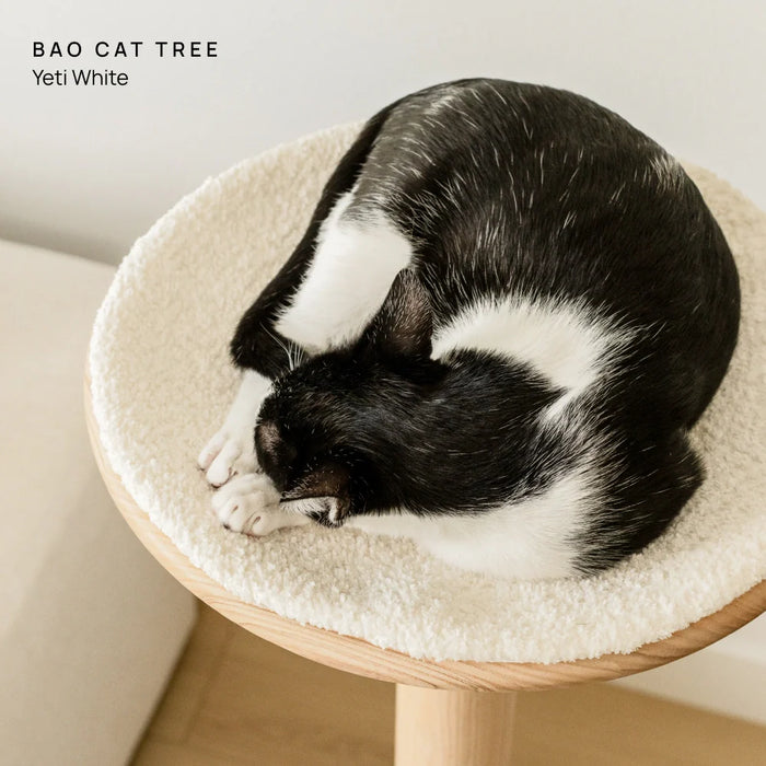Cushion (For Bao & Gravity)