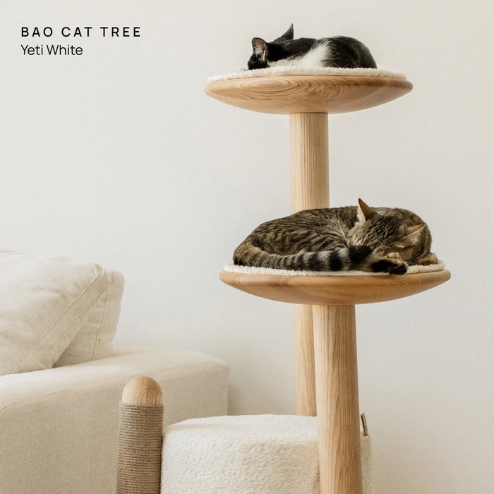 Cushion (For Bao & Gravity)