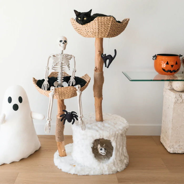 Limited Edition Halloween Pom-Poms