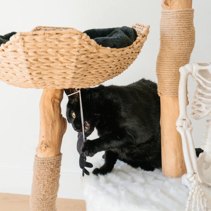 Limited Edition Halloween Pom-Poms