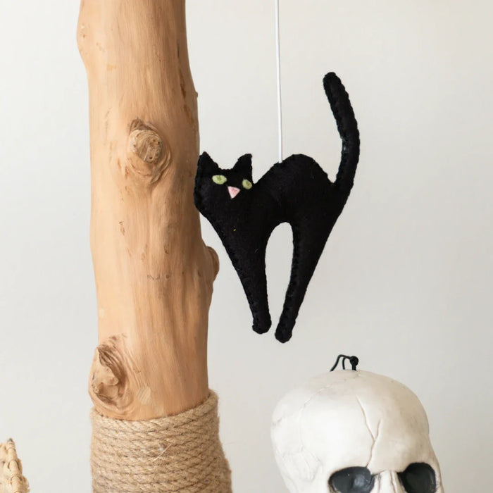 Limited Edition Halloween Pom-Poms