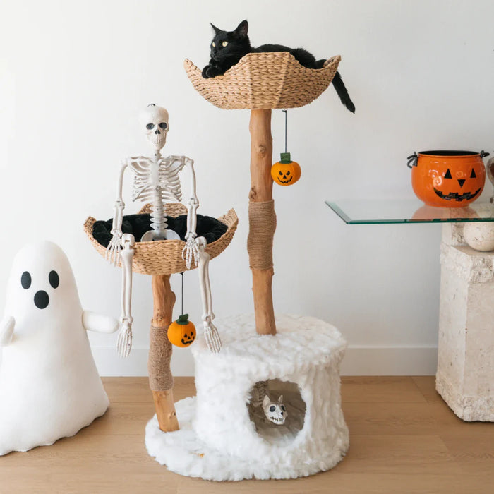 Limited Edition Halloween Pom-Poms