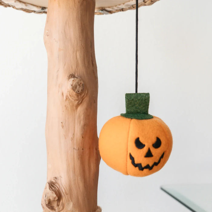 Limited Edition Halloween Pom-Poms