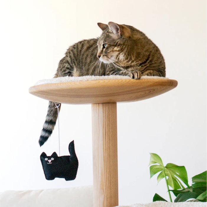 Limited Edition Kitty-Cat Pom-Poms