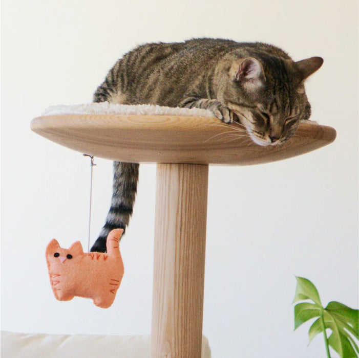 Limited Edition Kitty-Cat Pom-Poms