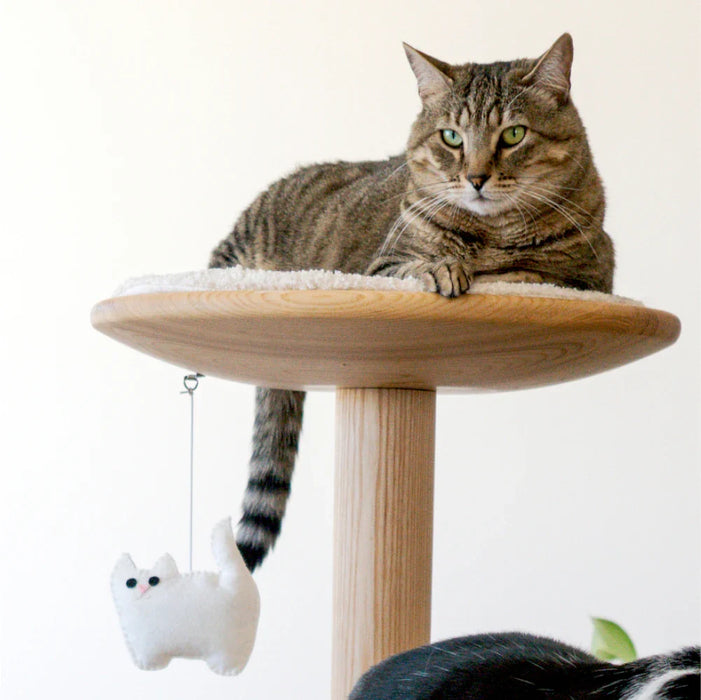 Limited Edition Kitty-Cat Pom-Poms