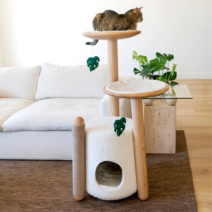 Limited Edition Monstera Pom-Poms