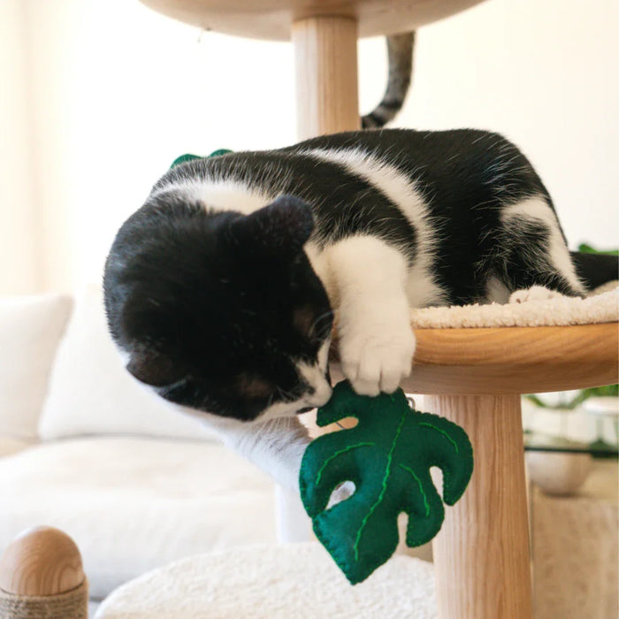 Limited Edition Monstera Pom-Poms